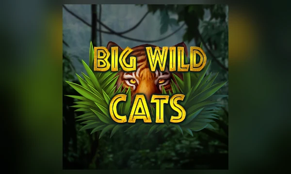 Big Wild Cats game thumbnail by Leap Gaming