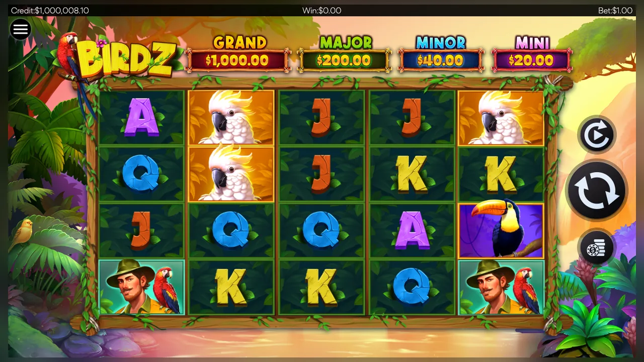 BIRDZ loaded gameplay interface with controls visible
