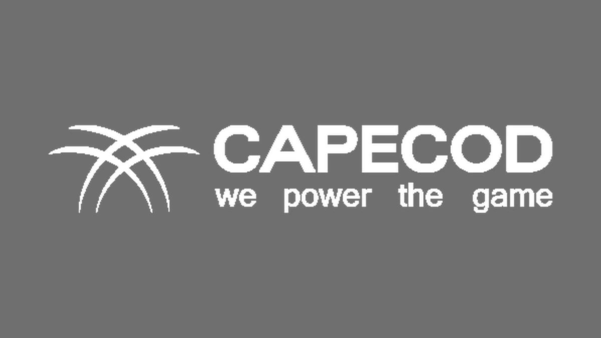 Large Capecod Gaming logo on one continuous matching grey background
