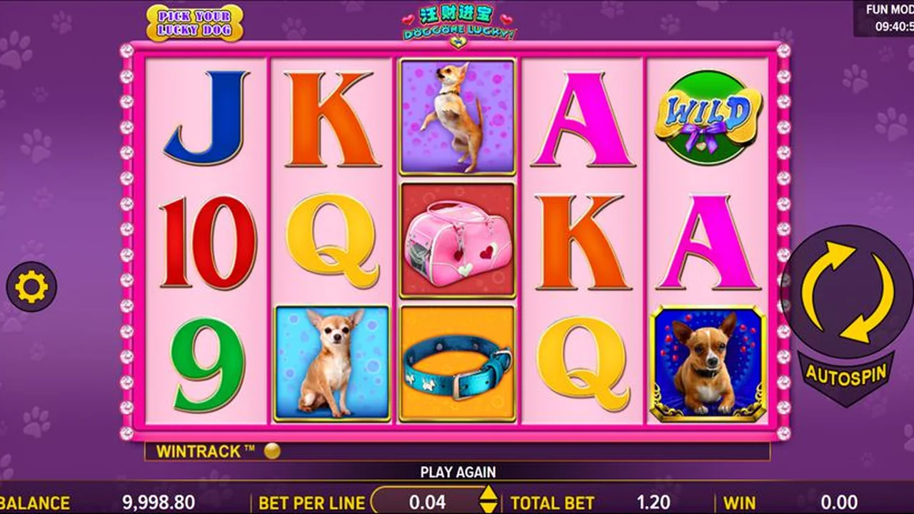 Doggone Lucky! loaded gameplay screen with reels and controls