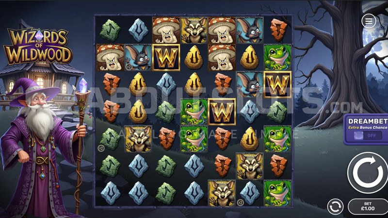 Wizards of Wild Wood gameplay