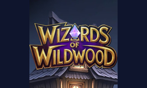 Wizards of Wild Wood slot art