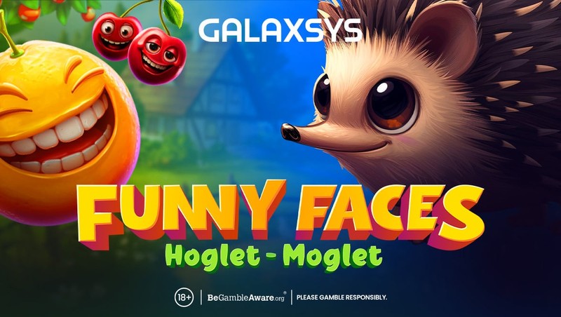 Funny Faces: Hoglet-Moglet gameplay