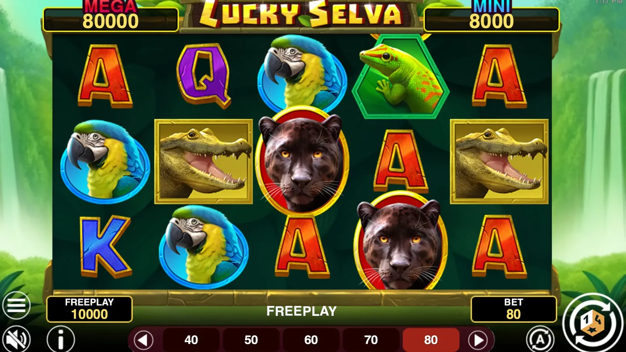 Lucky Selva Hold And Win gameplay showing reels and controls