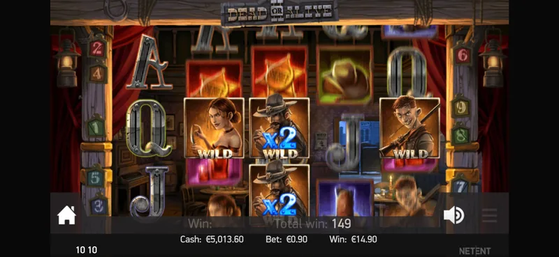 Dead or Alive 2 slot gameplay