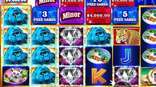 Congo Cash XL gameplay video