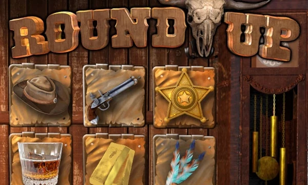 Round Up game thumbnail by Magellan Robotech