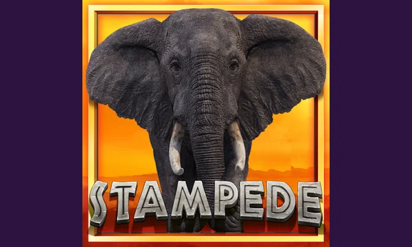 Stampede game thumbnail by Eyecon