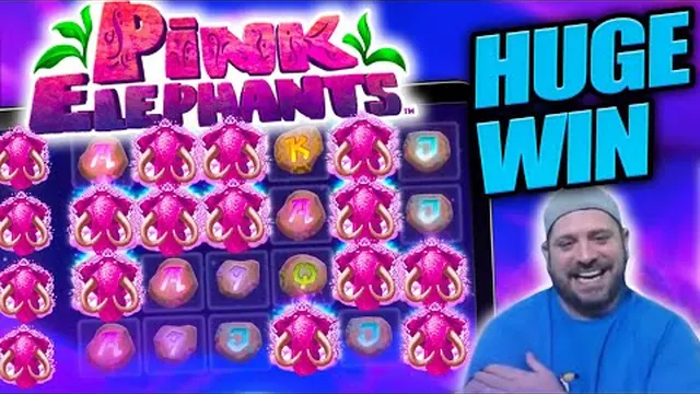 Pink Elephants 2 huge win video