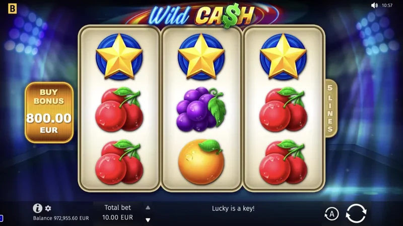 Wild Cash slot gameplay — compact 3x3 fruit reels
