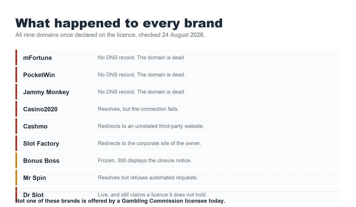 Status of all nine In Touch Games brand domains as at August 2026
